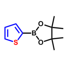 Thiophene-2-boronic acid pinacol ester CAS 193978-23-3